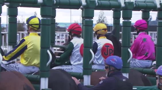 View video › View video ›