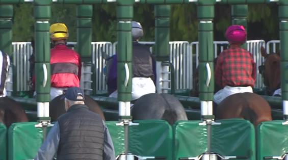 View video › View video ›