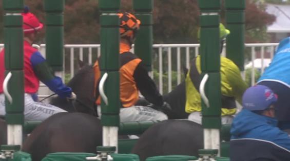 View video › View video ›