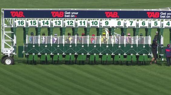 View video › View video ›