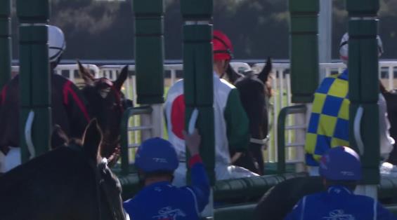 View video › View video ›