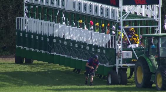 View video › View video ›