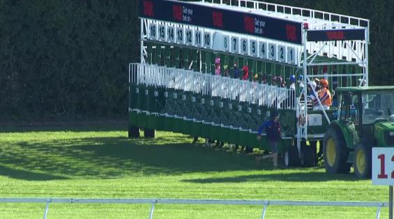 View video › View video ›