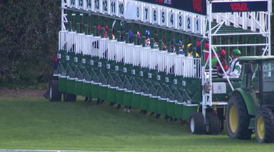 View video › View video ›