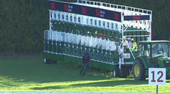 View video › View video ›