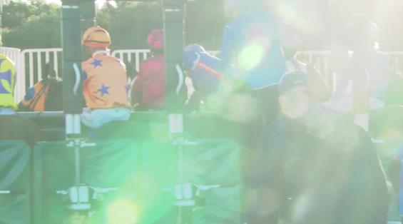 View video › View video ›