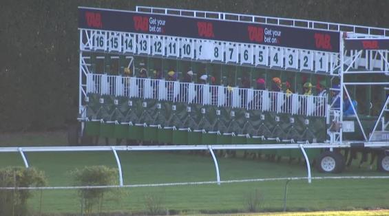 View video › View video ›