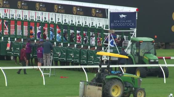 View video › View video ›