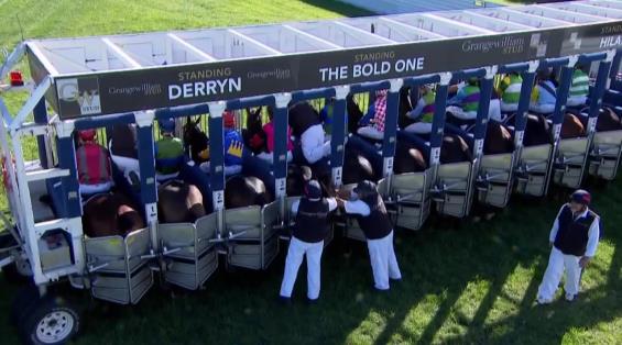 View video › View video ›