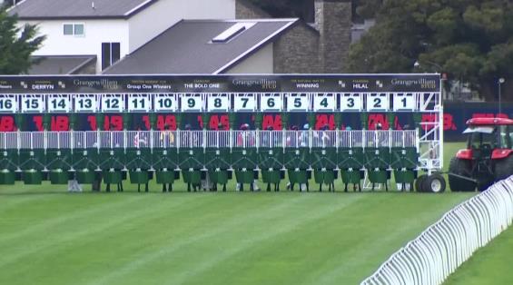 View video › View video ›