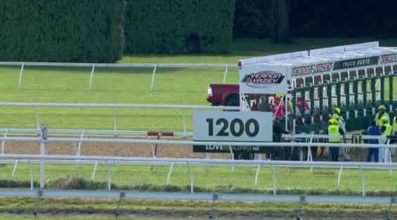 View video › View video ›