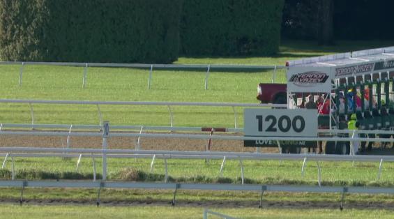 View video › View video ›