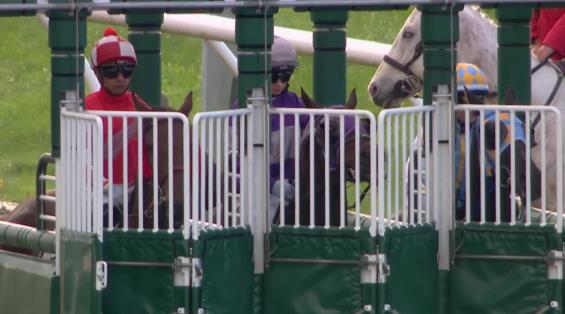 View video › View video ›