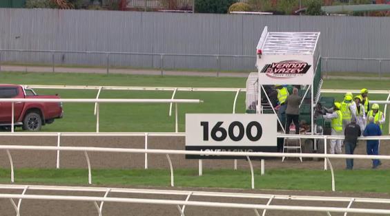 View video › View video ›