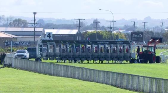 View video › View video ›