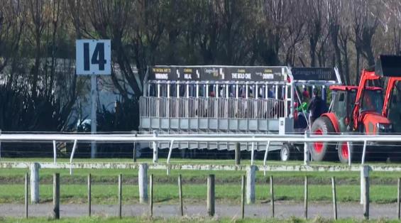 View video › View video ›