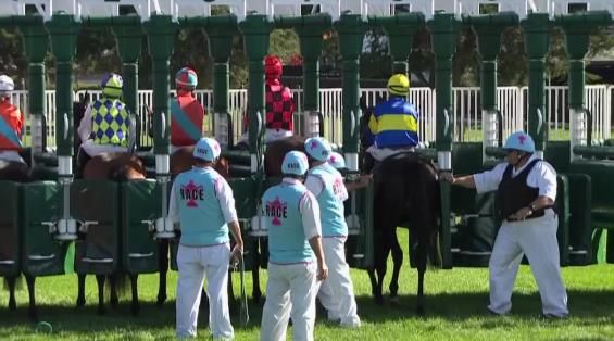 View video › View video ›