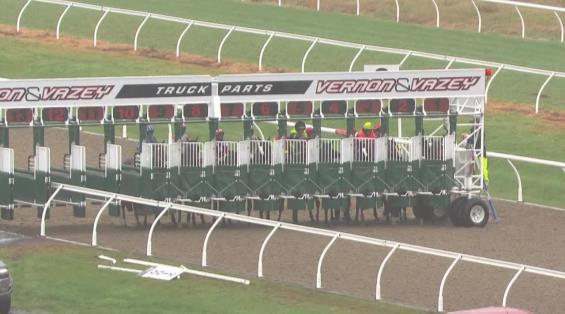 View video › View video ›