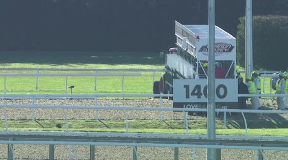 View video › View video ›