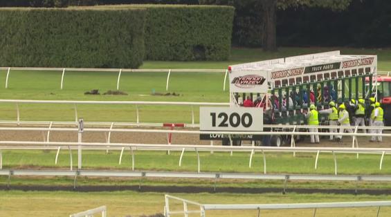 View video › View video ›