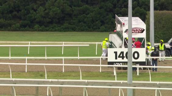 View video › View video ›