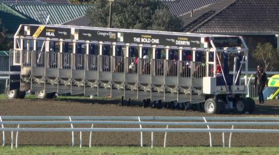 View video › View video ›