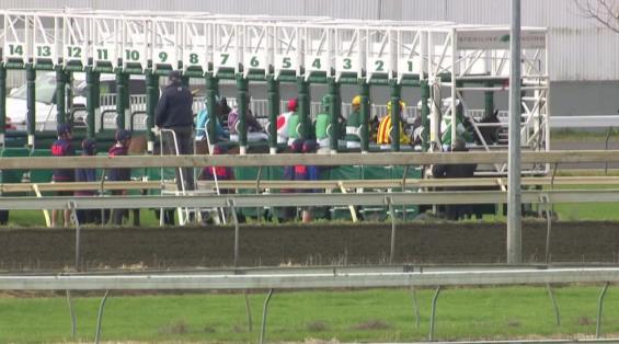 View video › View video ›