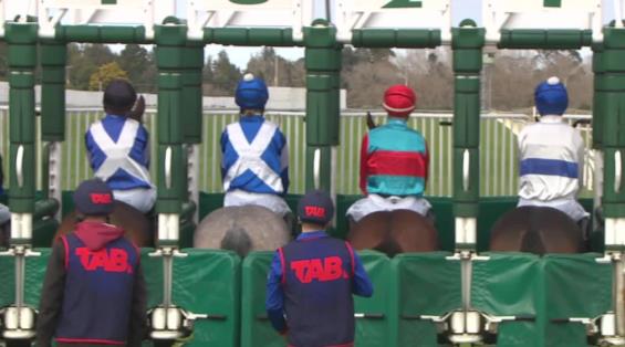 View video › View video ›