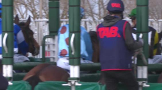 View video › View video ›