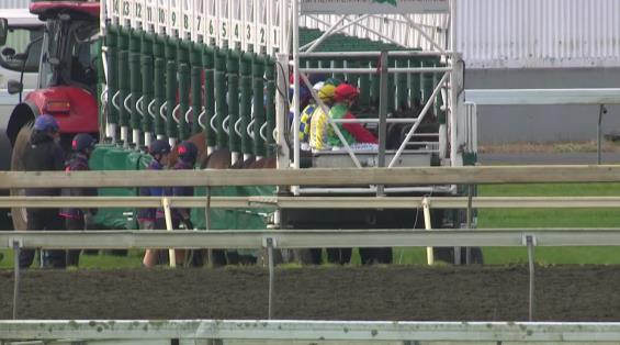 View video › View video ›