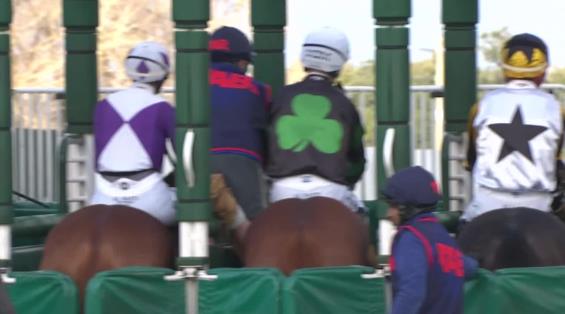 View video › View video ›