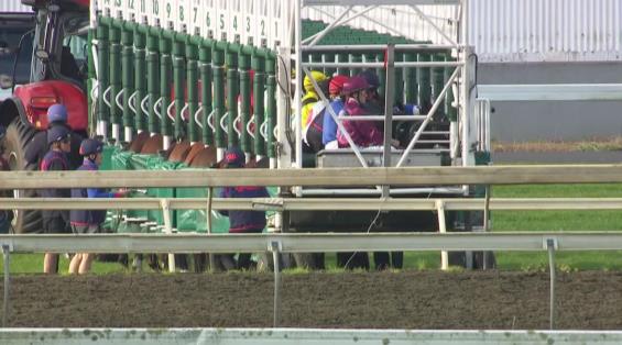 View video › View video ›