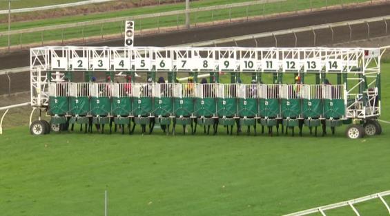 View video › View video ›