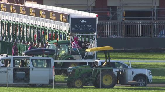 View video › View video ›