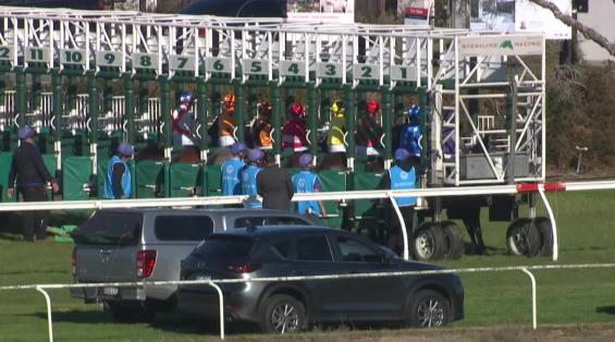 View video › View video ›