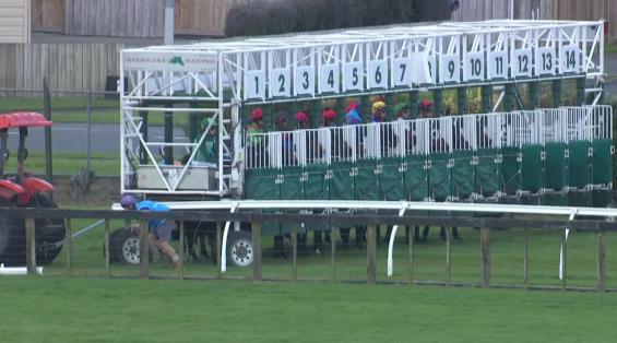 View video › View video ›