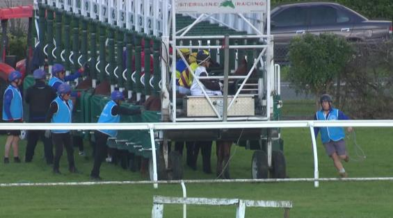 View video › View video ›