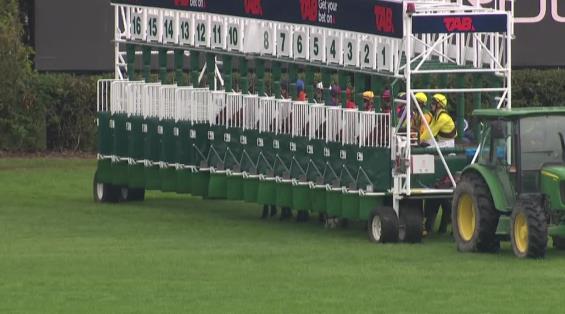 View video › View video ›