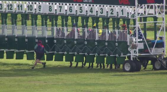 View video › View video ›