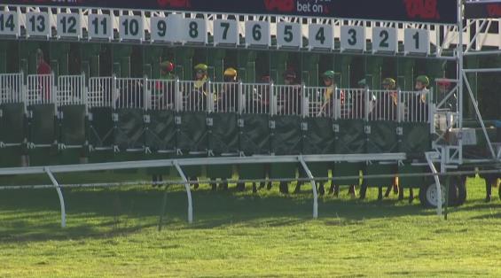 View video › View video ›