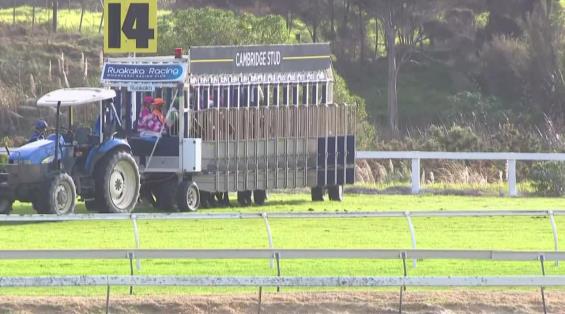 View video › View video ›