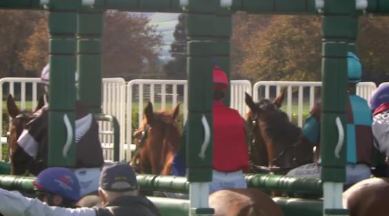 View video › View video ›