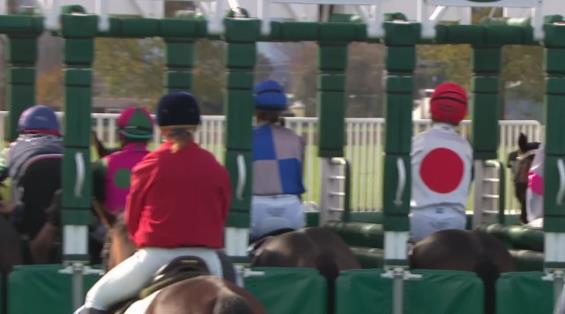 View video › View video ›