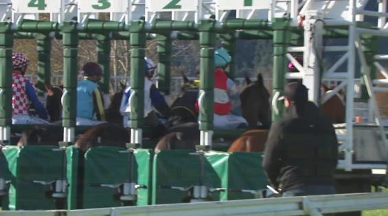 View video › View video ›