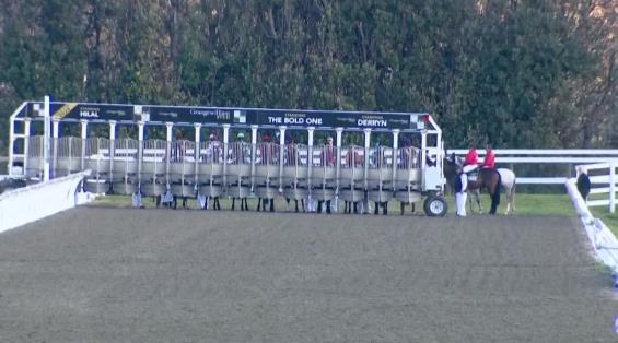 View video › View video ›