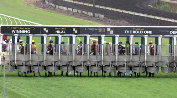 View video › View video ›