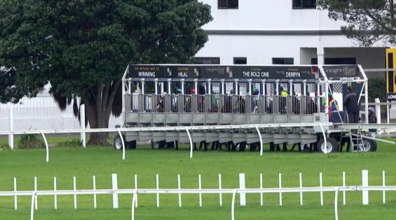 View video › View video ›