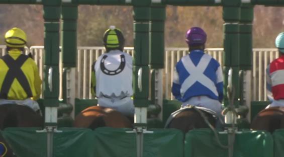 View video › View video ›