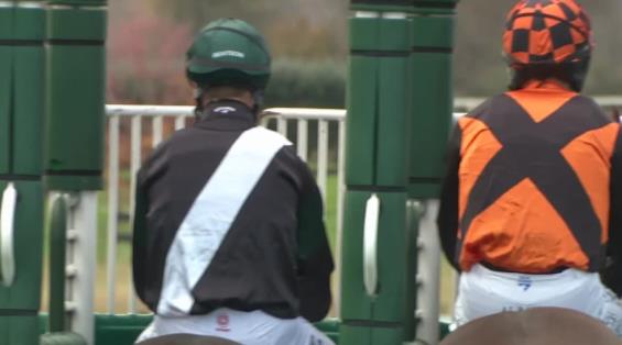 View video › View video ›