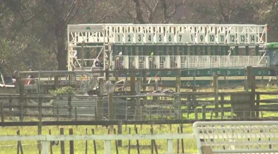 View video › View video ›